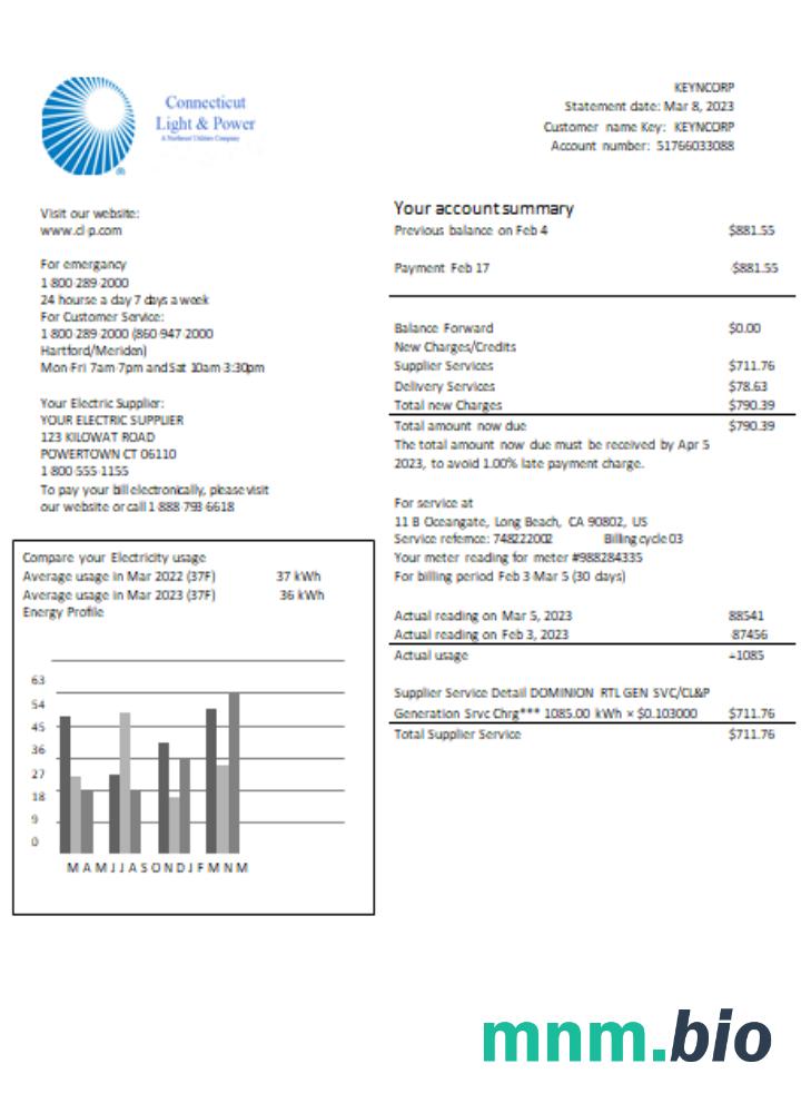 Connecticut Light & Power electricity rachunek za usługi komunalne